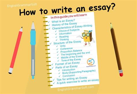 How to Write a Book Essay: A Comprehensive Guide with Insightful Views